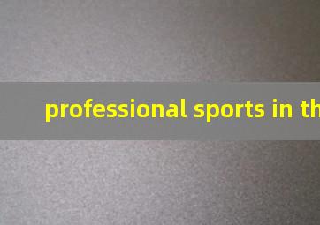 professional sports in the us